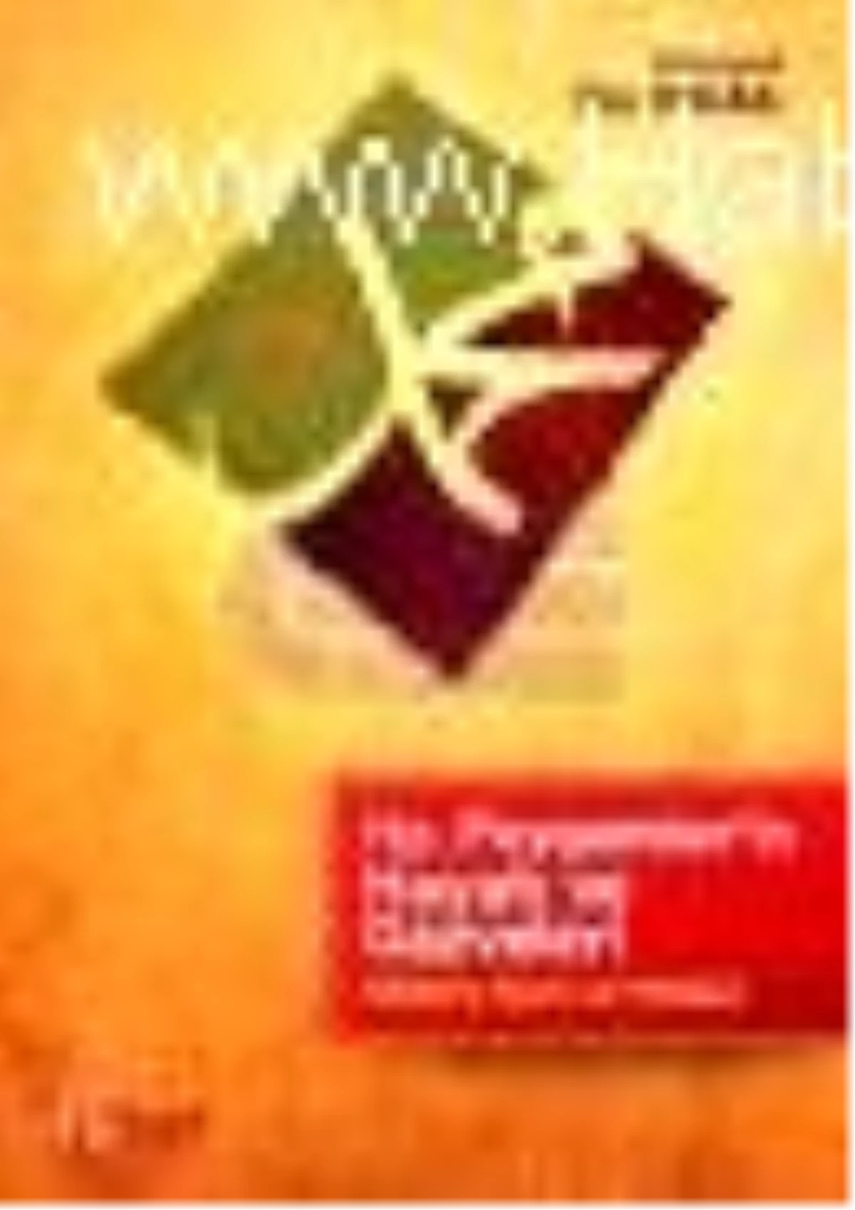 Hz. Peygamber'in Hayatı ve Gazveleri Kitabı