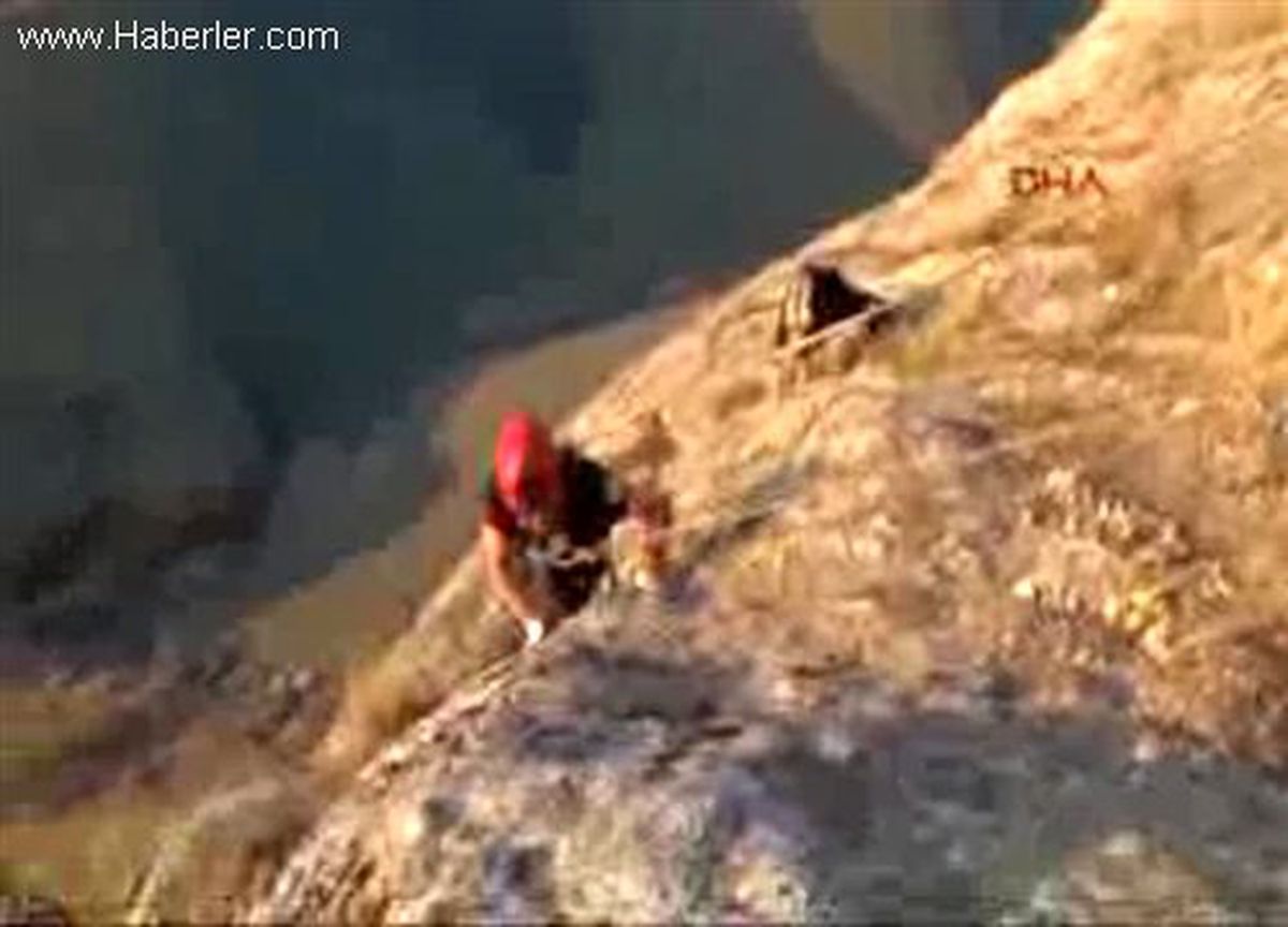 İnatçı Keçileri AFAD Ekipleri Kurtardı