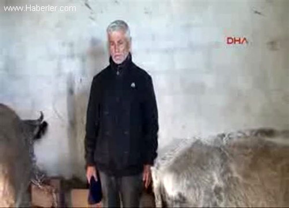 Lapseki\' de Kuduz Alarmı
