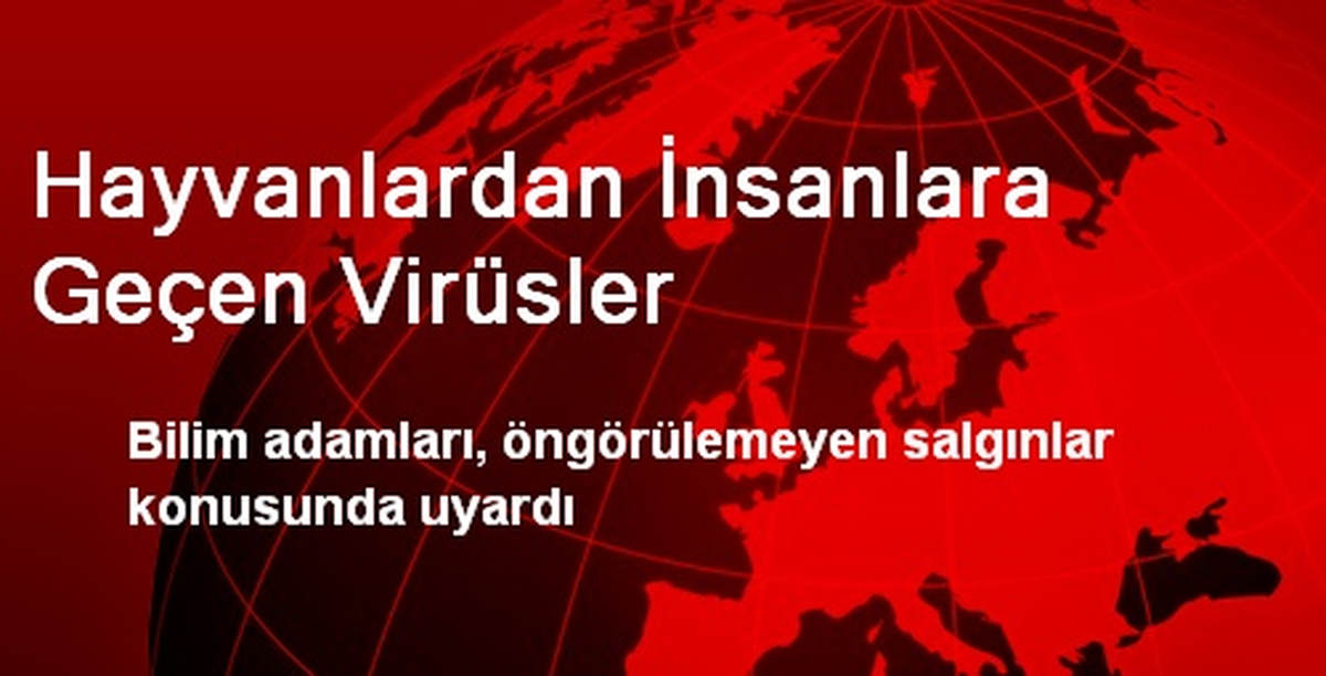 Hayvanlardan İnsanlara Geçen Virüsler