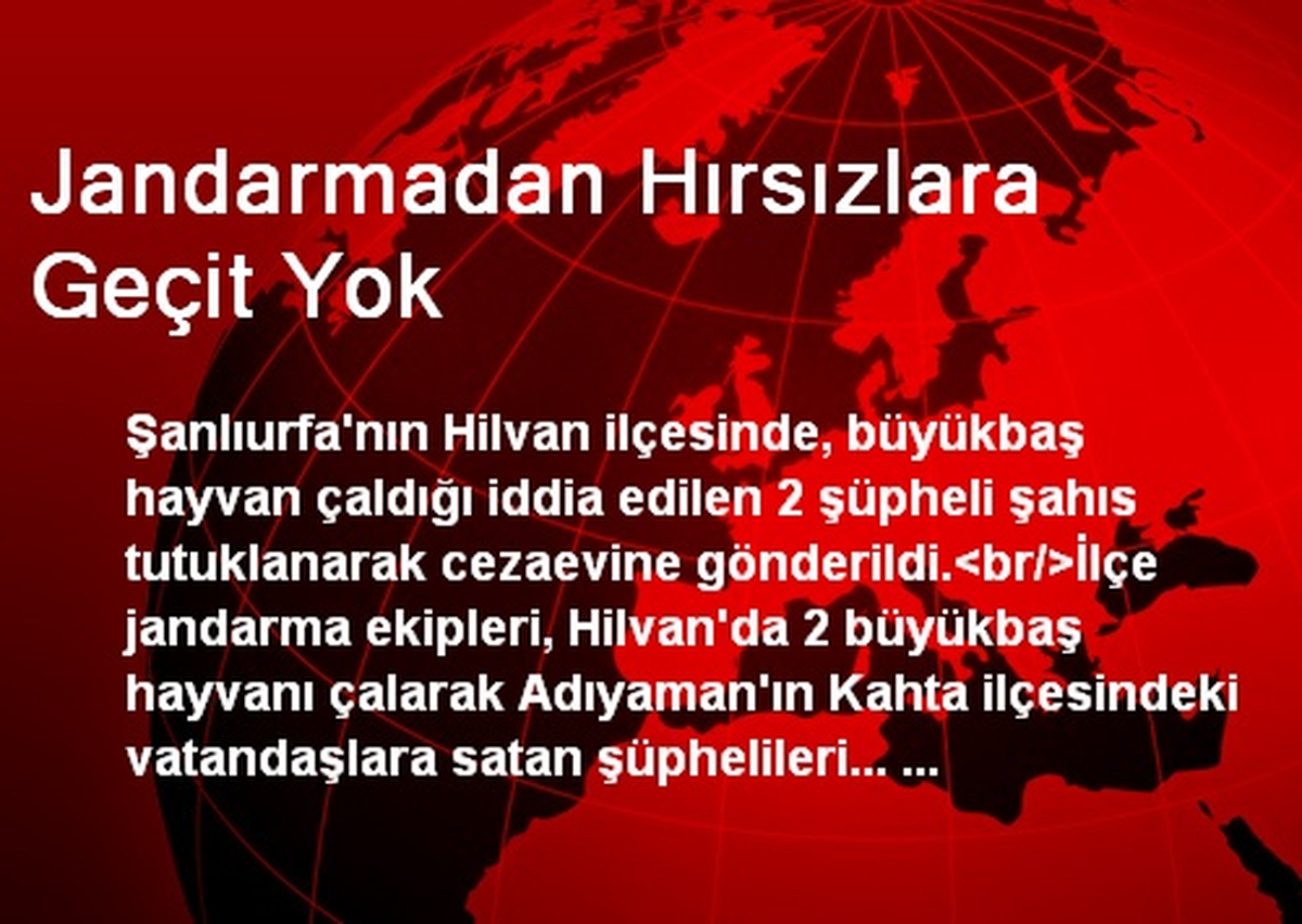 Jandarmadan Hırsızlara Geçit Yok