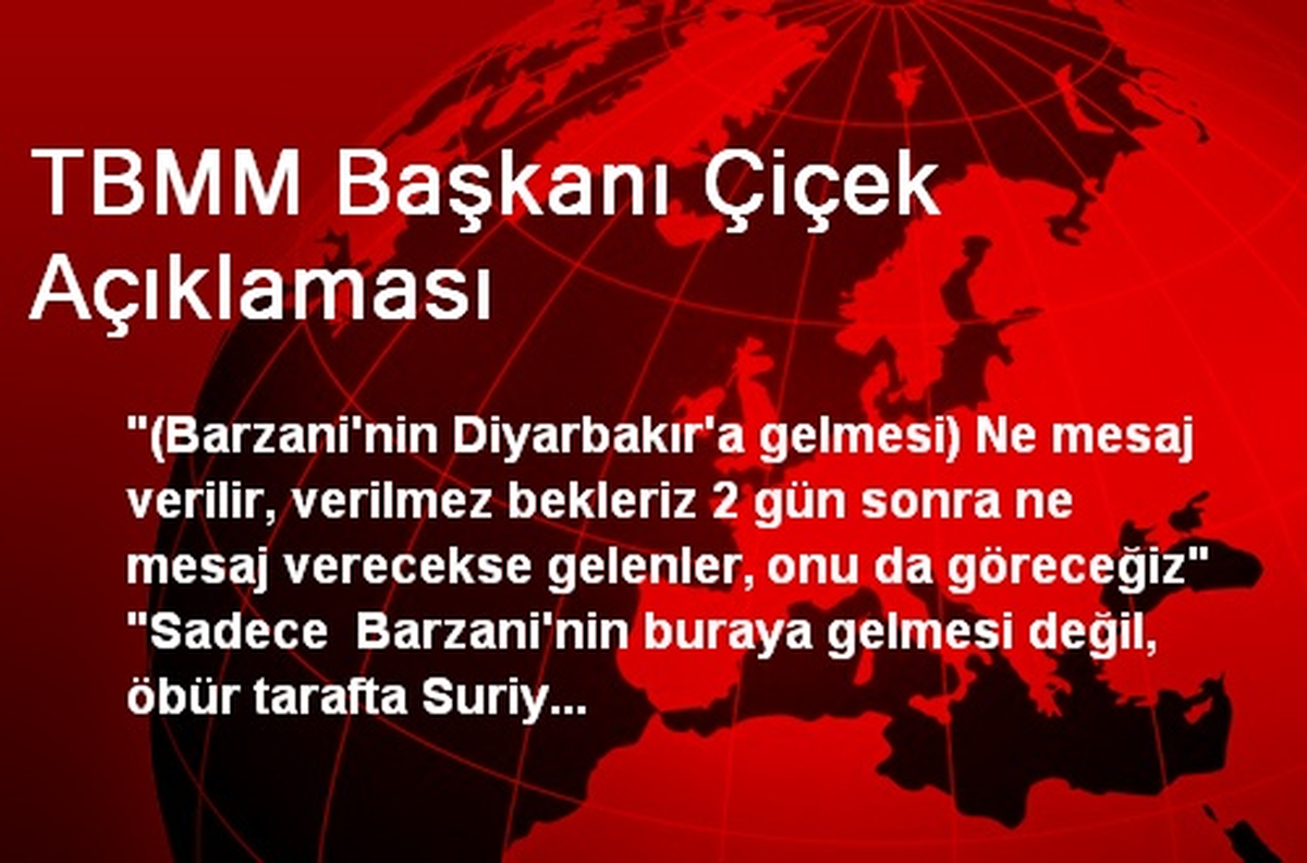 TBMM Başkanı Çiçek Açıklaması