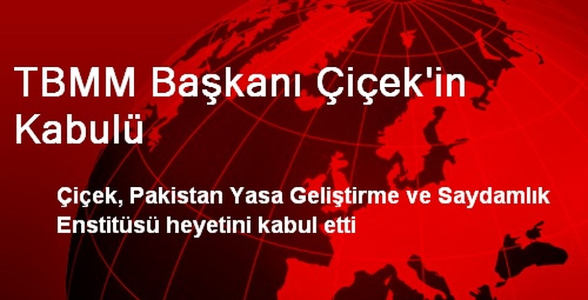 TBMM Başkanı Çiçek\'in Kabulü