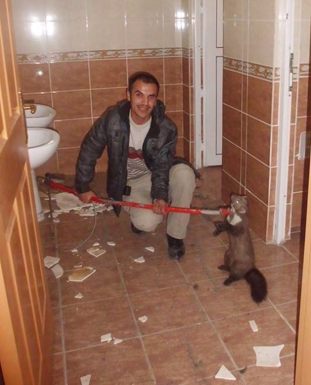 Şaşkın Sansar Sağlıkçıları Korkuttu