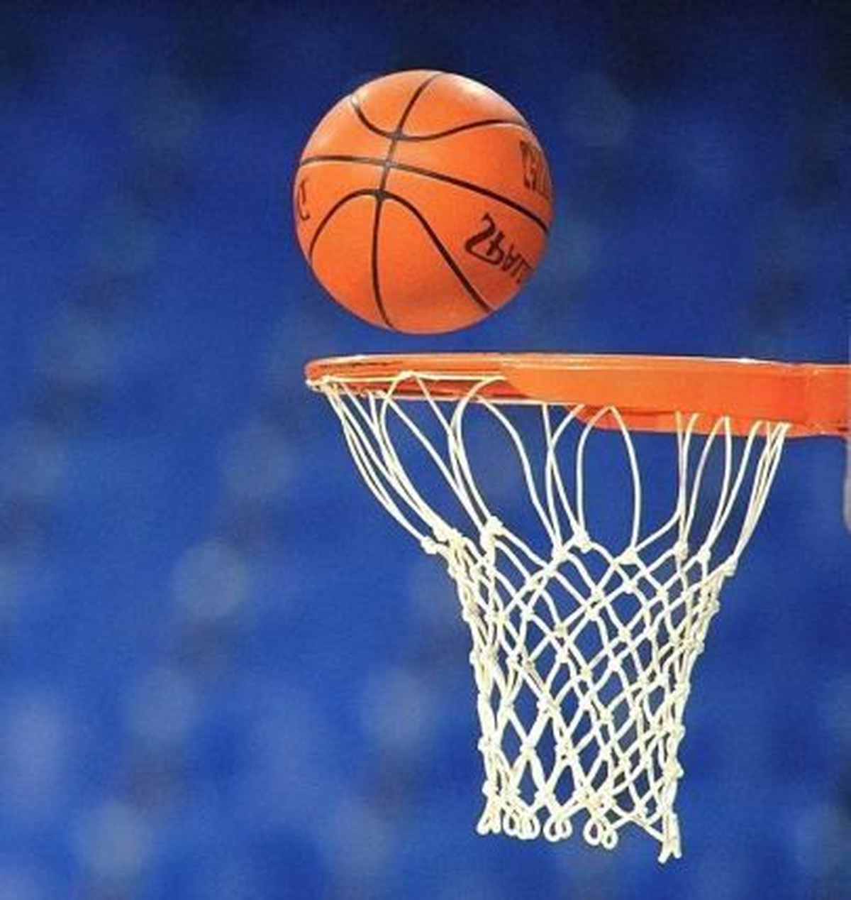 Beko Basketbol Ligine 6. Hafta ile Devam Edilecek