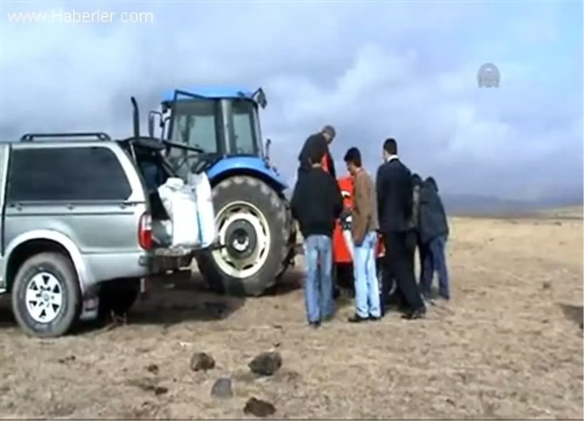 Eksi 40 dereceye dayanıklı buğday tohumları