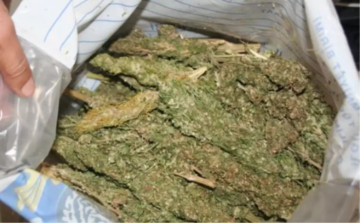 Elazığ\'da 25 Kilogram Esrar Ele Geçirildi