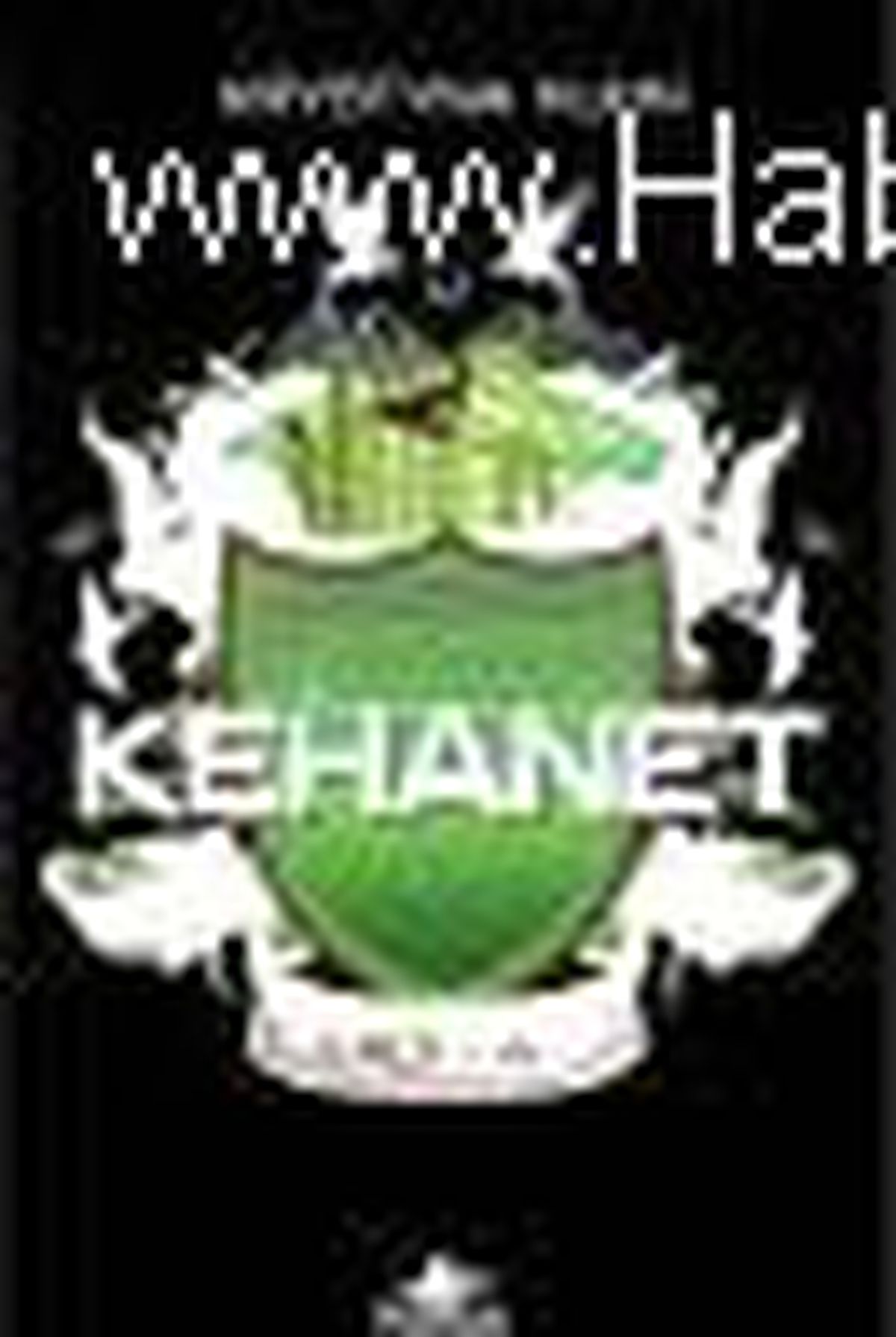 Kehanet - Vadi 4 Kitabı