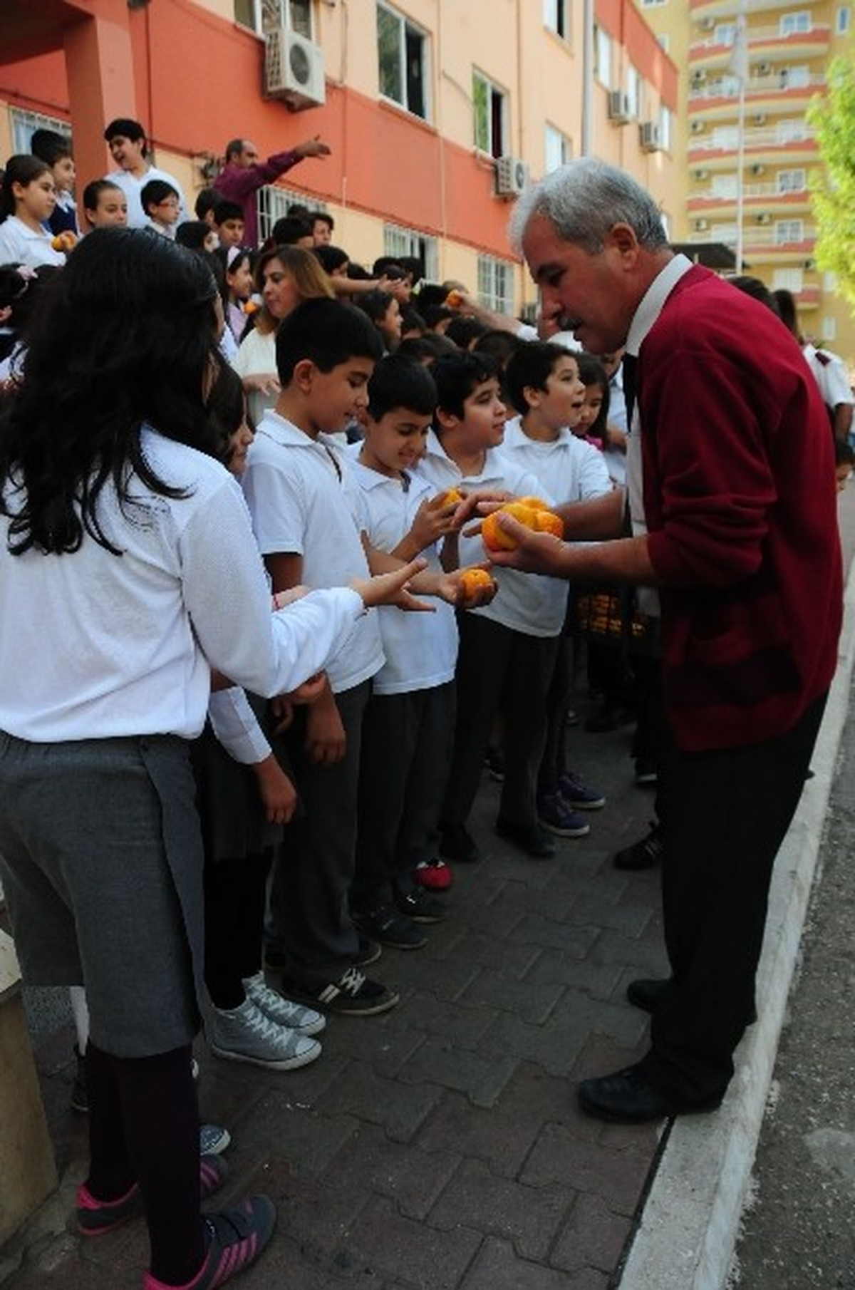 Narenciye Dağıtımı Mezitli\'deki Okullarda Devam Ediyor