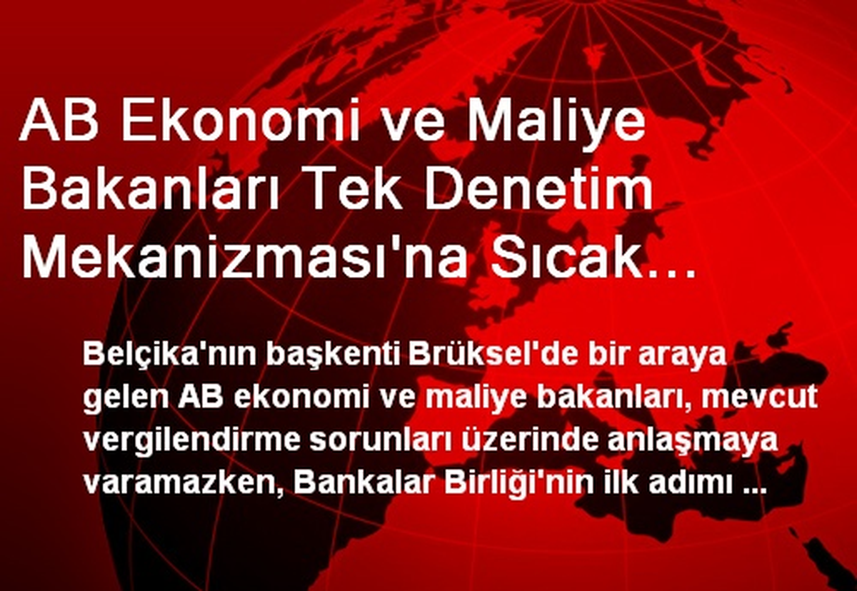 AB Ekonomi ve Maliye Bakanları Tek Denetim Mekanizması\'na Sıcak Bakıyor