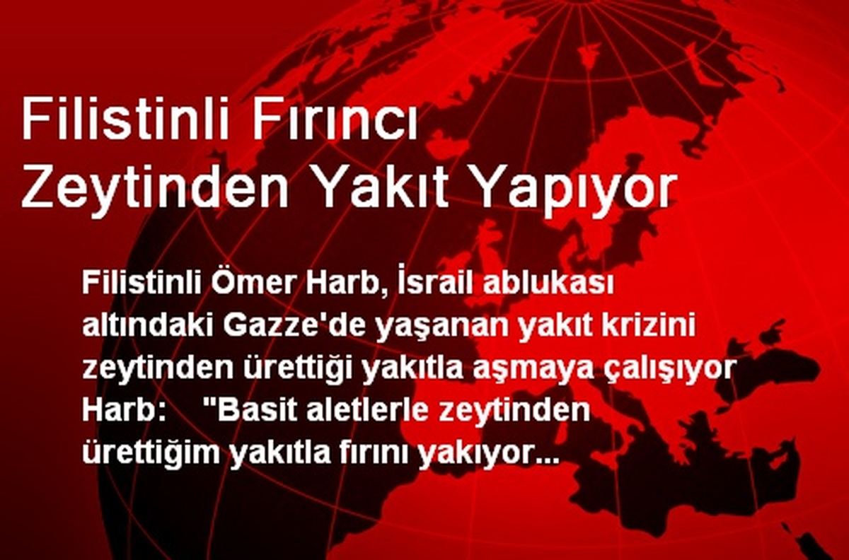 Filistinli Fırıncı Zeytinden Yakıt Yapıyor