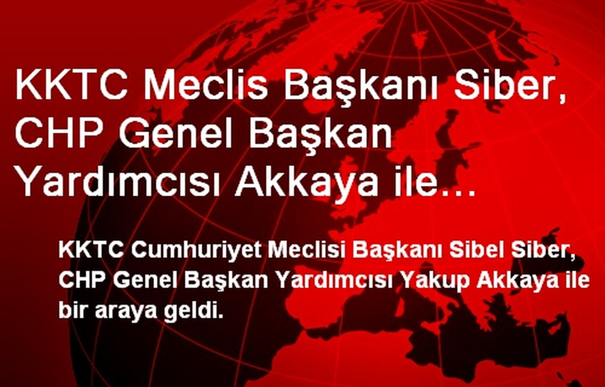 KKTC Meclis Başkanı Siber, CHP Genel Başkan Yardımcısı Akkaya ile Görüştü