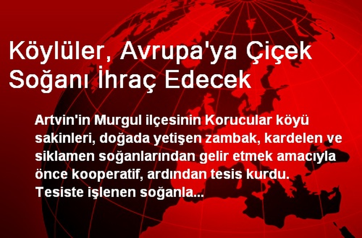 Köylüler, Avrupa'ya Çiçek Soğanı İhraç Edecek