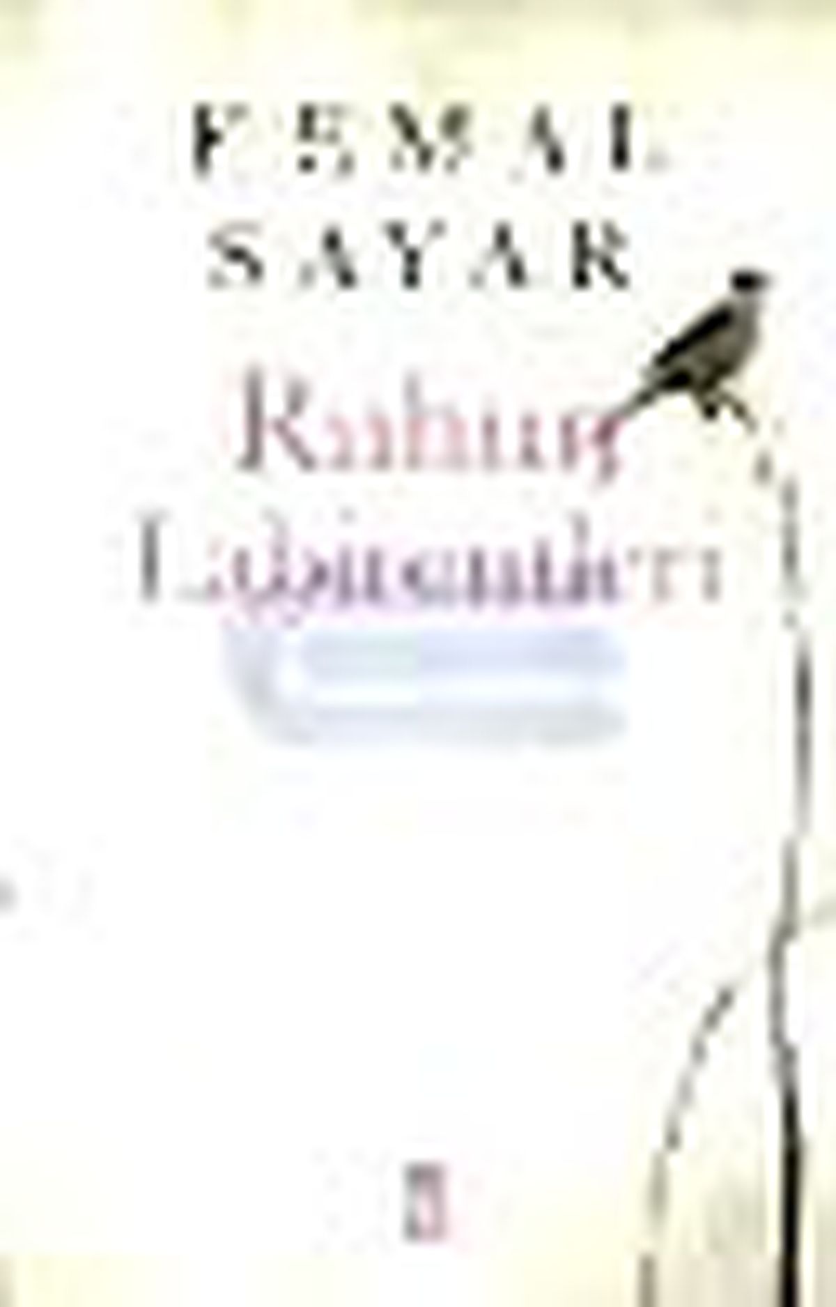Ruhun Labirentleri Kitabı