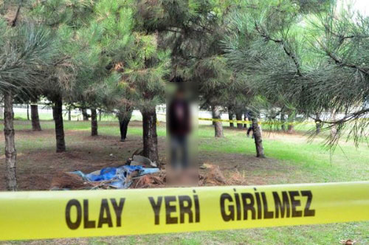 Sakarya'da Ağaca Asılı Erkek Cesedi Bulundu