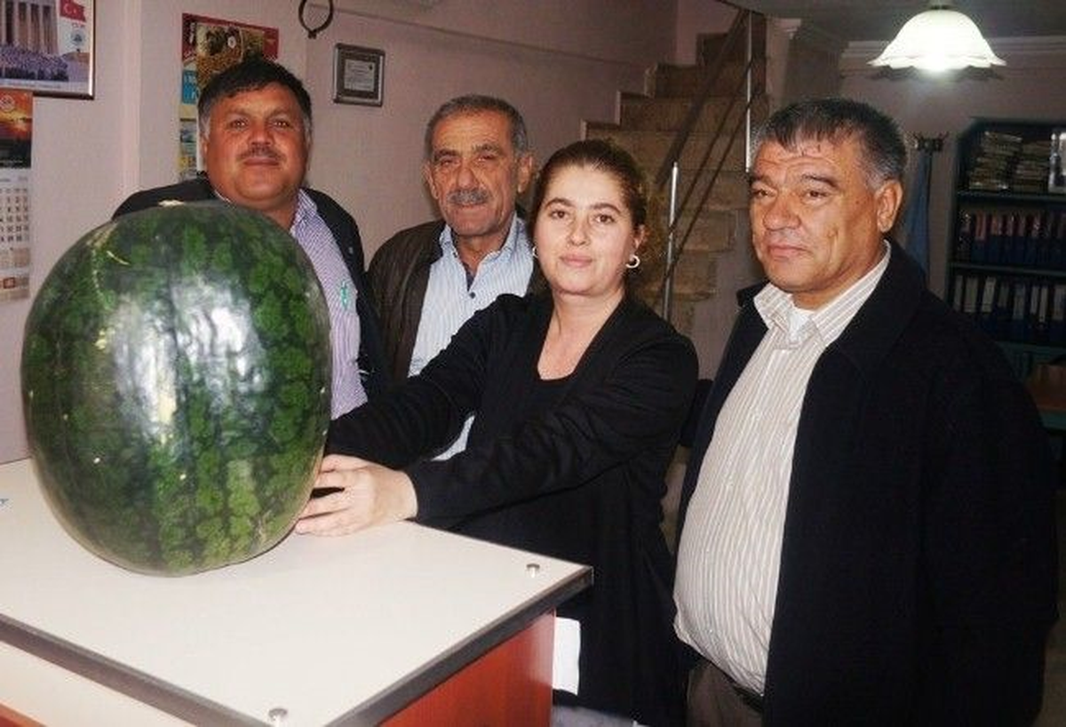 Sarıgöl Ziraat Odasına "Kara Karpuz" Hediyesi