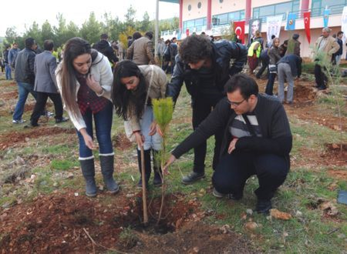 Üniversiteler Ağaçlandırılıyor Projesi