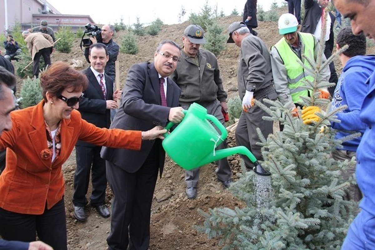 Vali Ali İhsan Su, Düzce Üniversitesinde Fidan Dikti