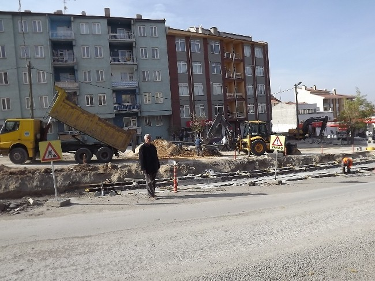 Yol Yapımı Sırasında Ağaçlar Canlı Olarak Naklediliyor