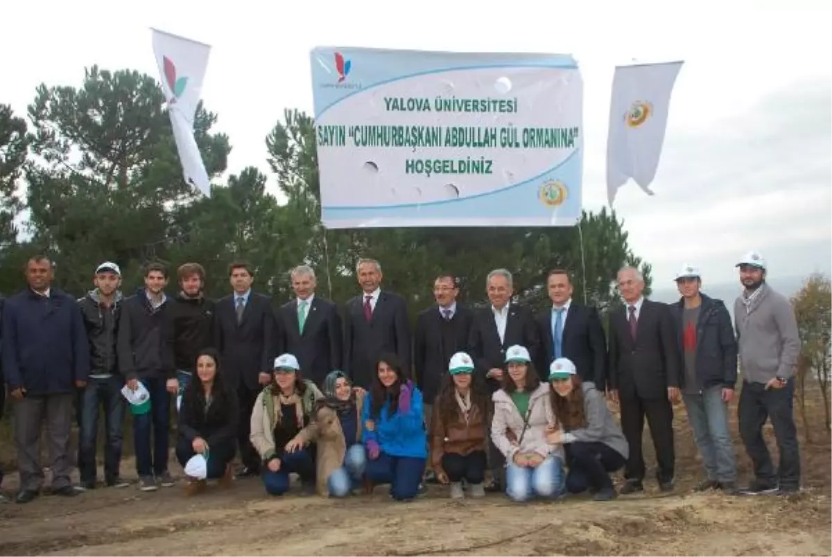 \'Abdullah Gül Ormanı\' Ağaçlandırılıyor