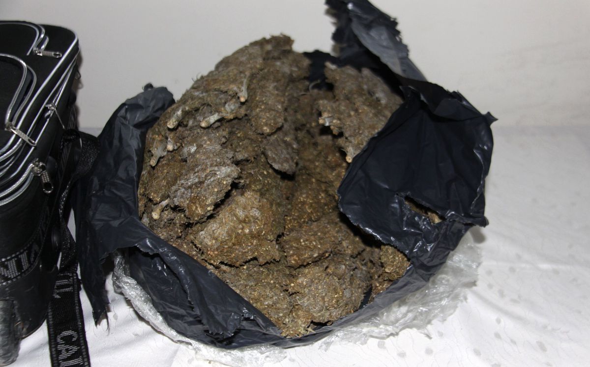 Antalya\'da 8 Kilo 155 Gram Esrar Ele Geçirildi