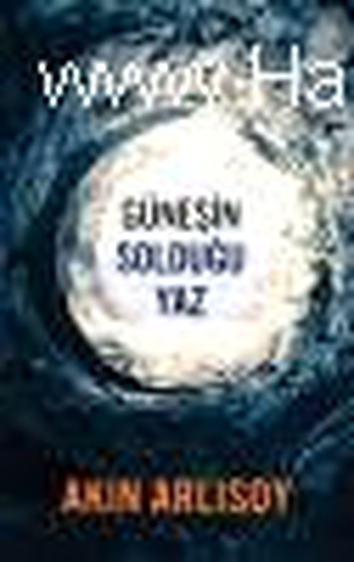 Güneşin Solduğu Yaz Kitabı