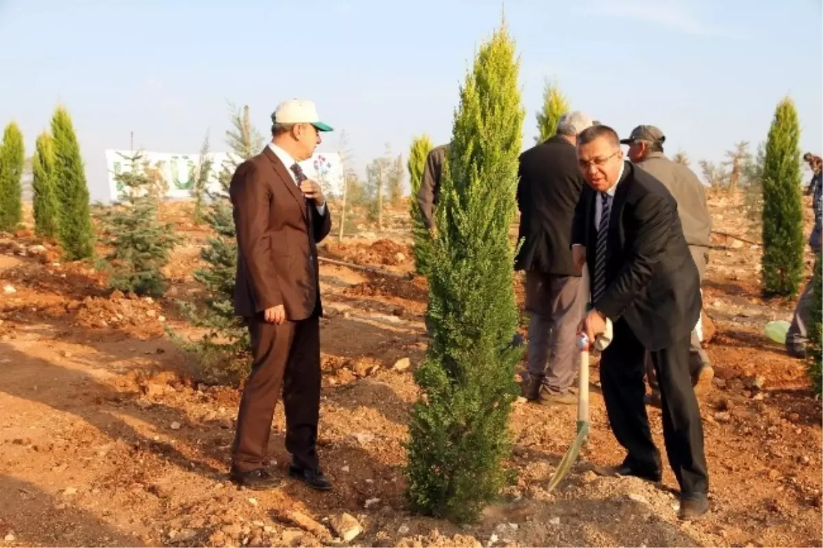 Hasan Kalyoncu Üniversitesi Fidan Dikti