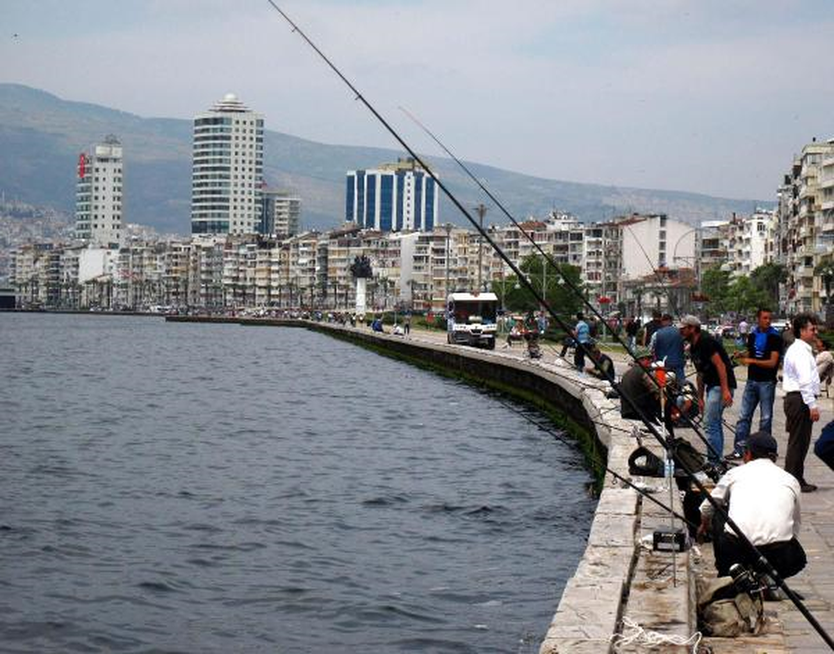 Körfeze Yavru Balık Akını