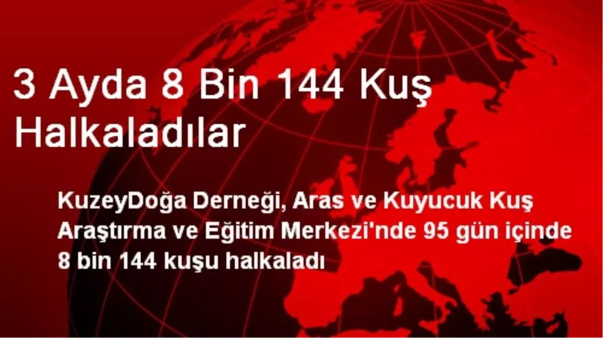 3 Ayda 8 Bin 144 Kuş Halkaladılar