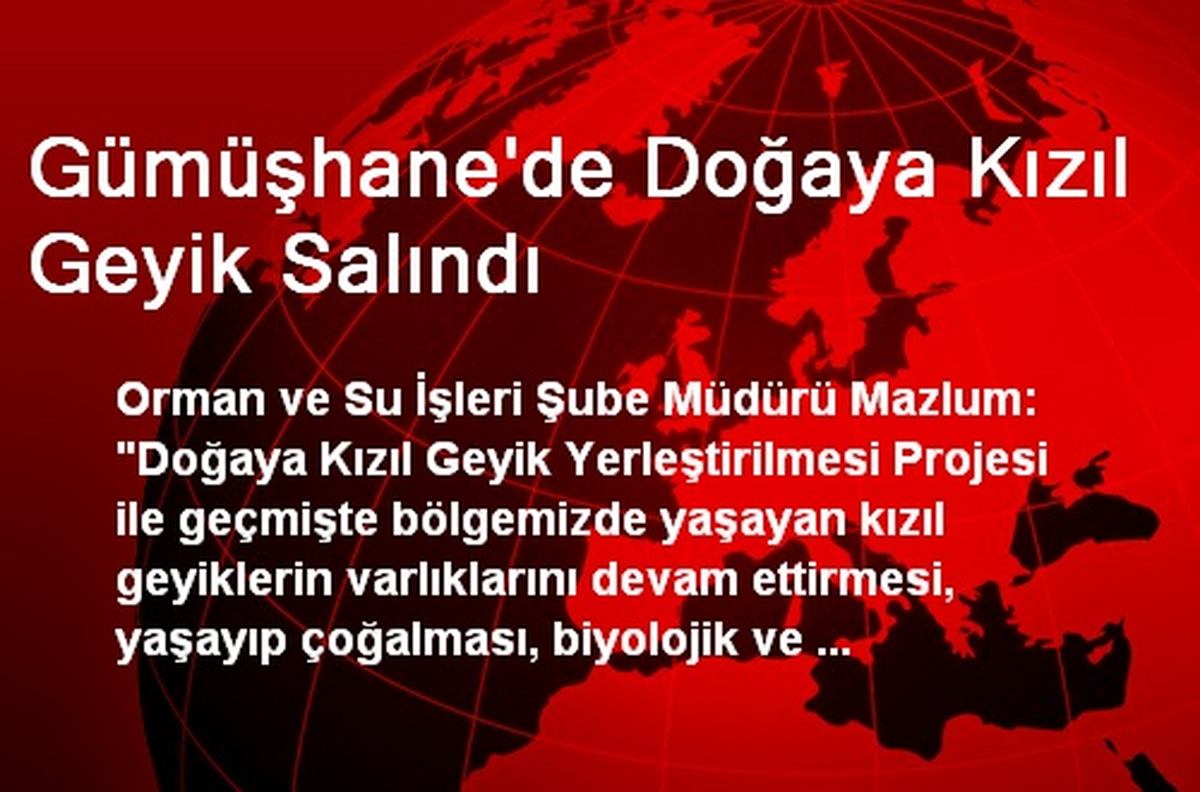 Gümüşhane\'de Doğaya Kızıl Geyik Salındı