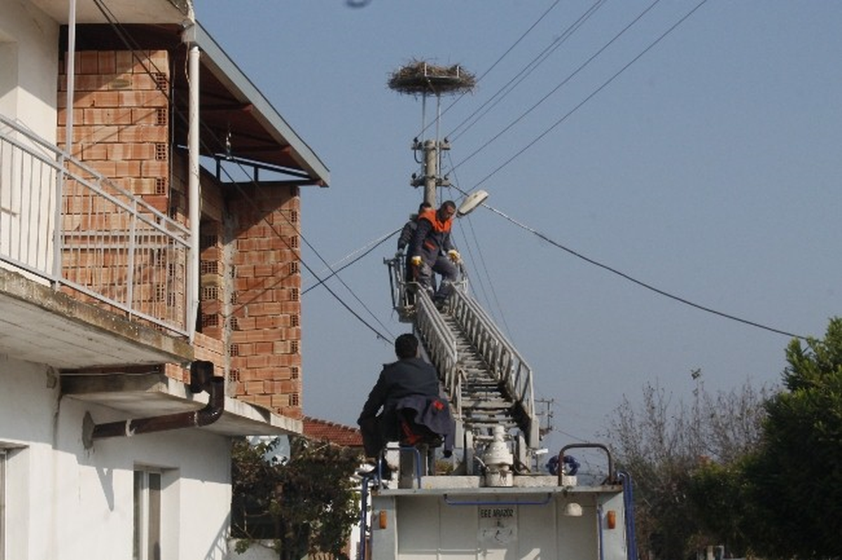 Selçuk\'ta Leylekleri Koruma Çalıştayı