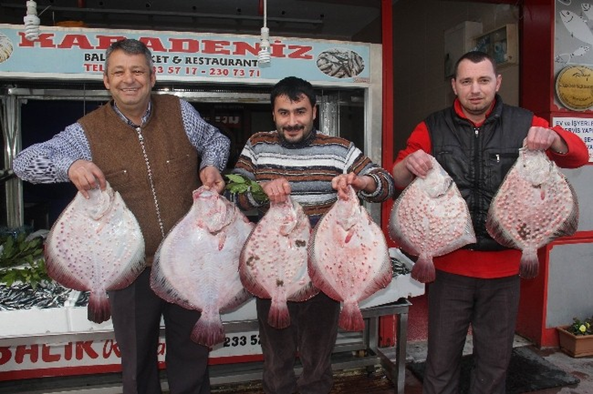 Sezonun İlk Kalkan Balıkları Tezgahlarda