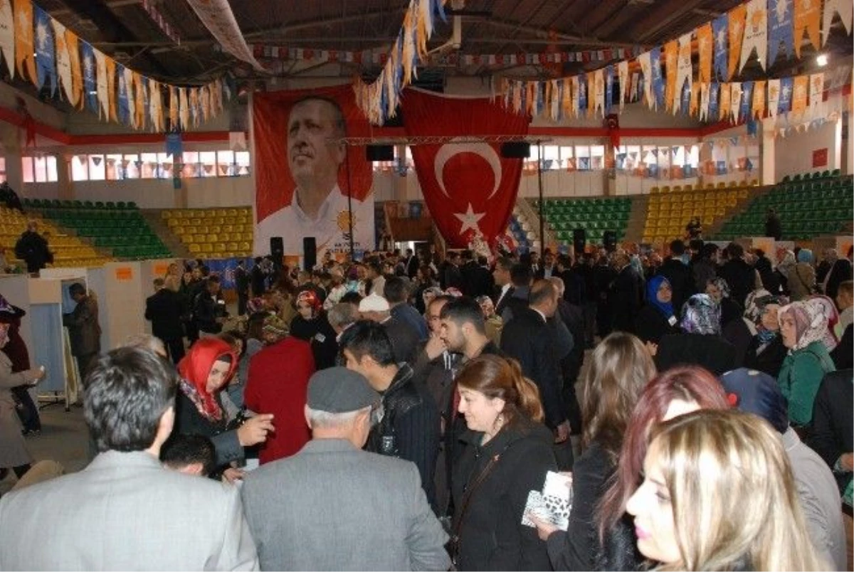AK Parti, Tokat\'ta Temayül Yoklaması Yaptı
