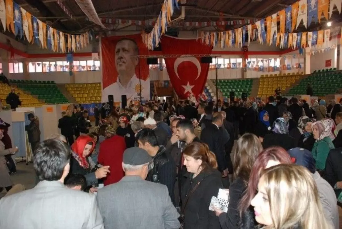 AK Parti, Tokat\'ta Temayül Yoklaması Yaptı