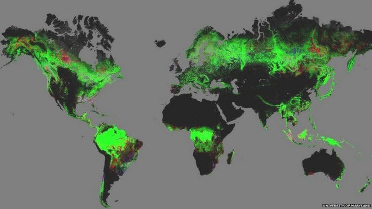 Acı gerçek Google Earth\'te!