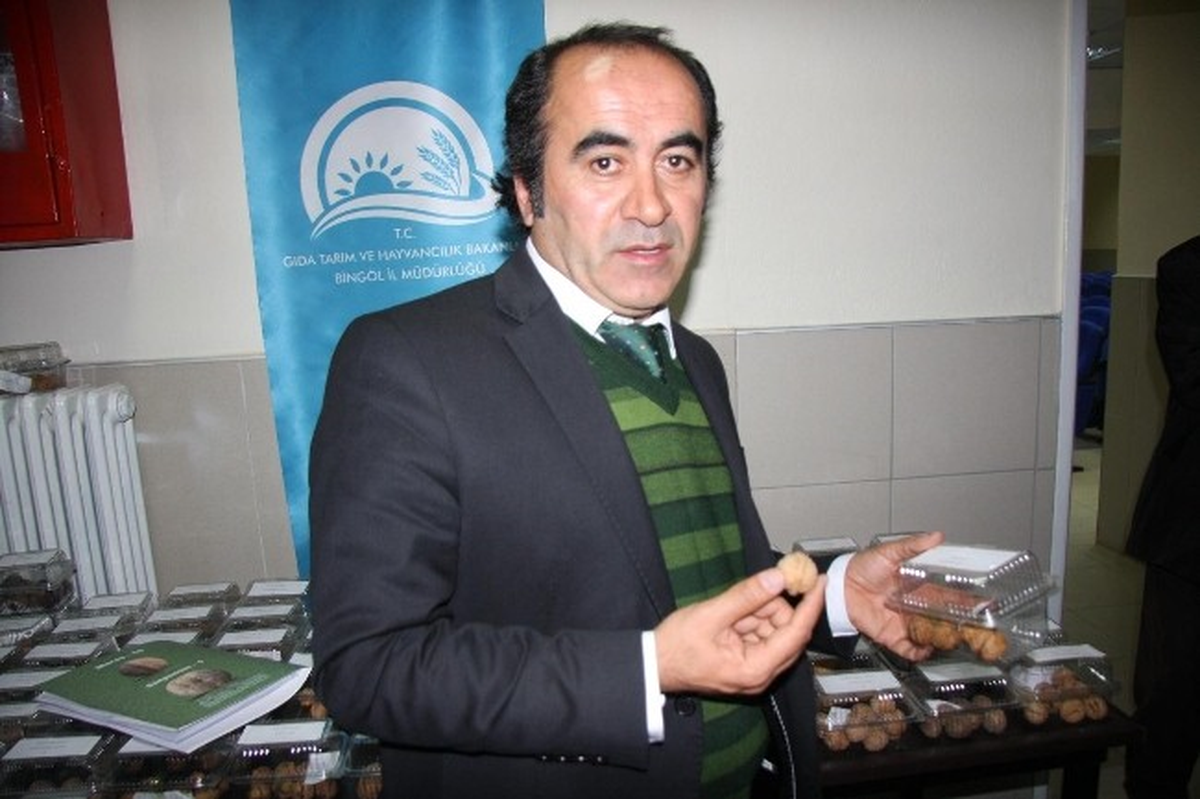 Bir Ceviz Ağacı 1 Cumhuriyet Altını