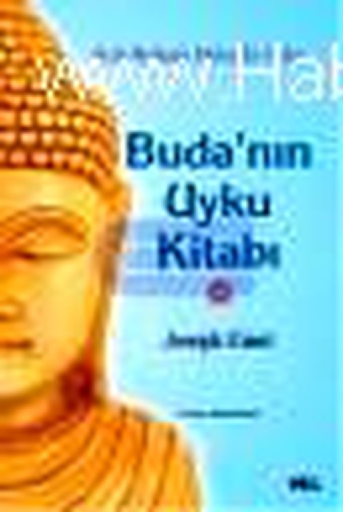 Buda\'nın Uyku Kitabı Kitabı