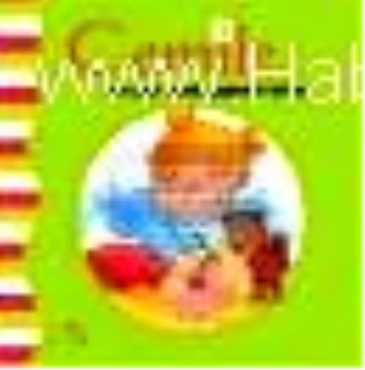 Cemile Her Şeyi Kendi Yapmak İstiyor Kitabı