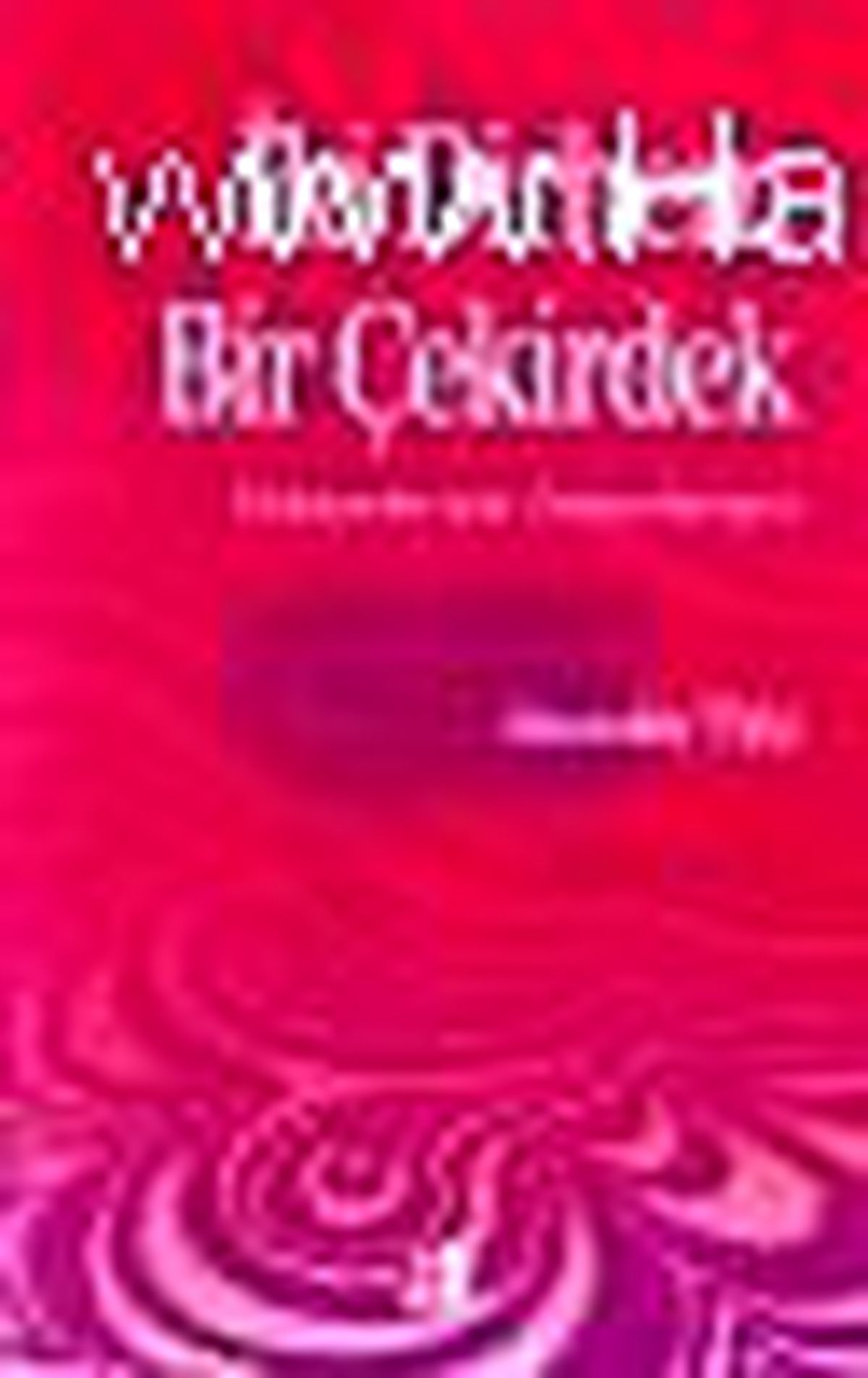 İki Dirhem Bir Çekirdek Kitabı