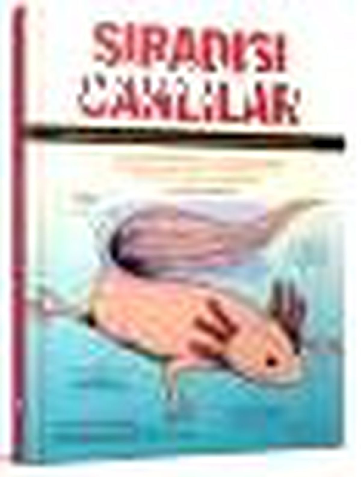 Sıradışı Canlılar Kitabı