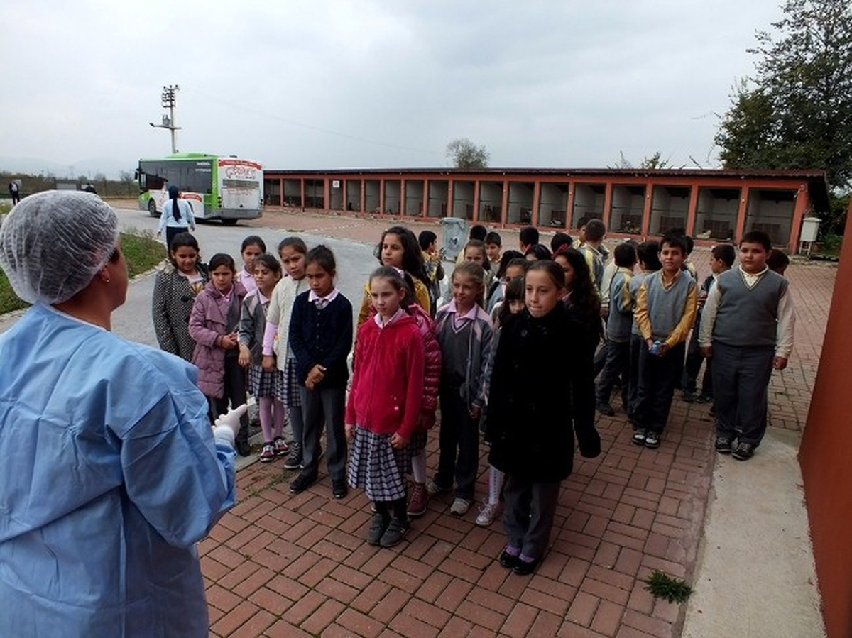 Yarının Büyükleri Gezerek Öğreniyor