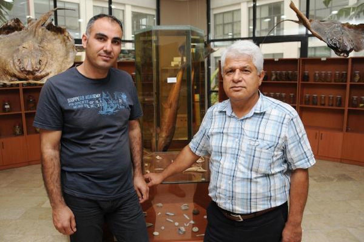 Akdeniz\'de 21 Tür Kıkırdaklı Balık \'Kırmızı Liste\'de