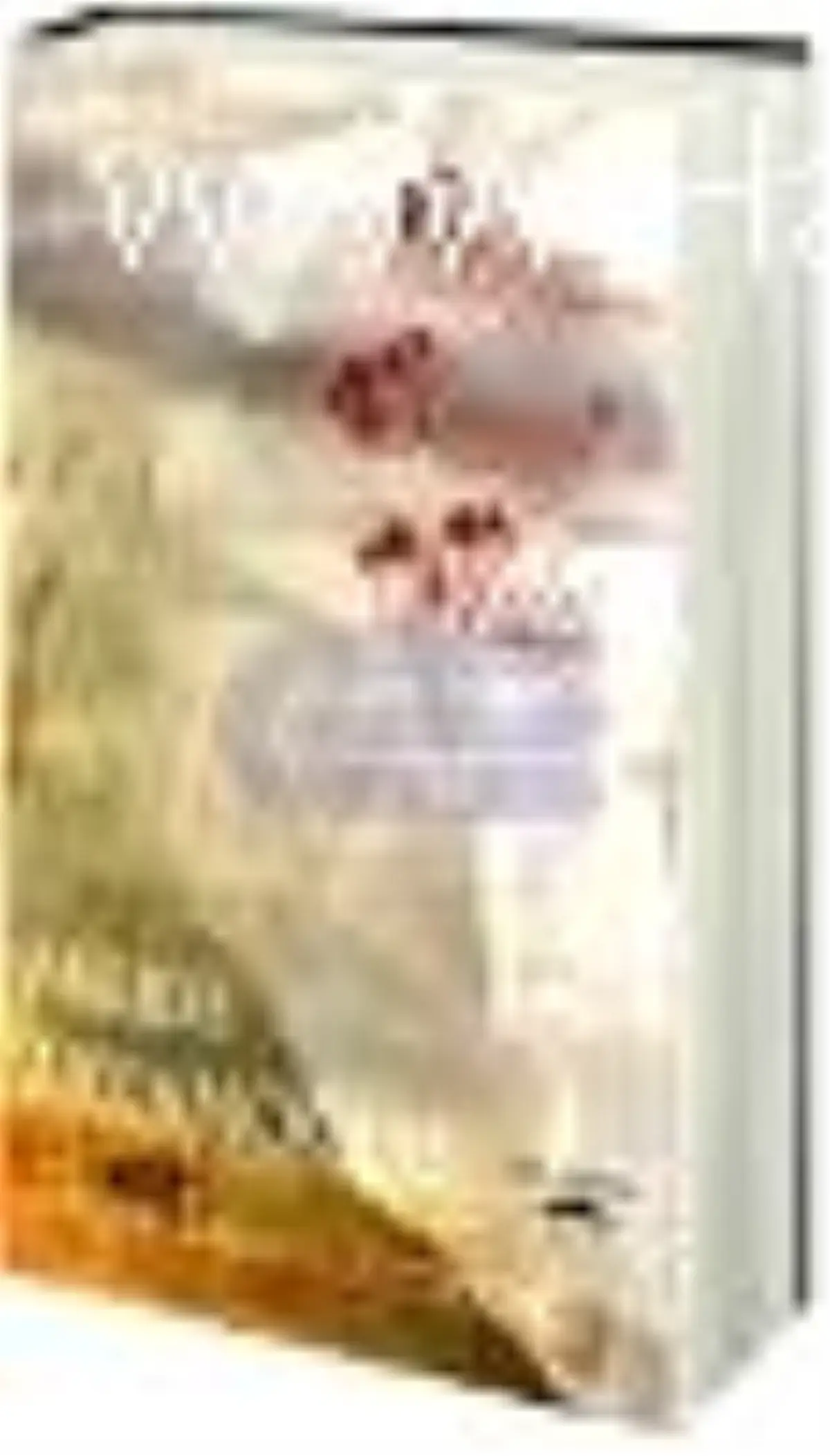 Bana Sevmeyi Anlat Kitabı