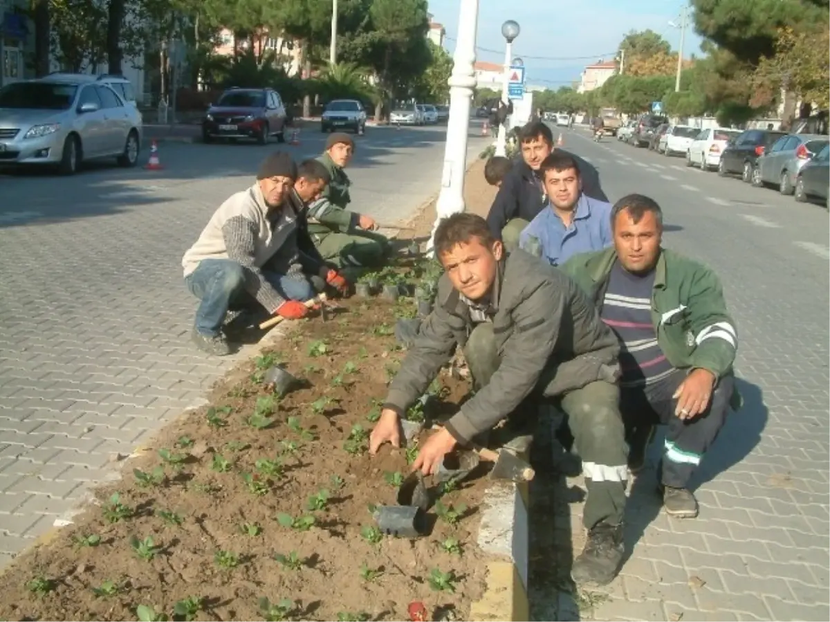 Burhaniye\'de Sokaklar Çiçek Kokacak