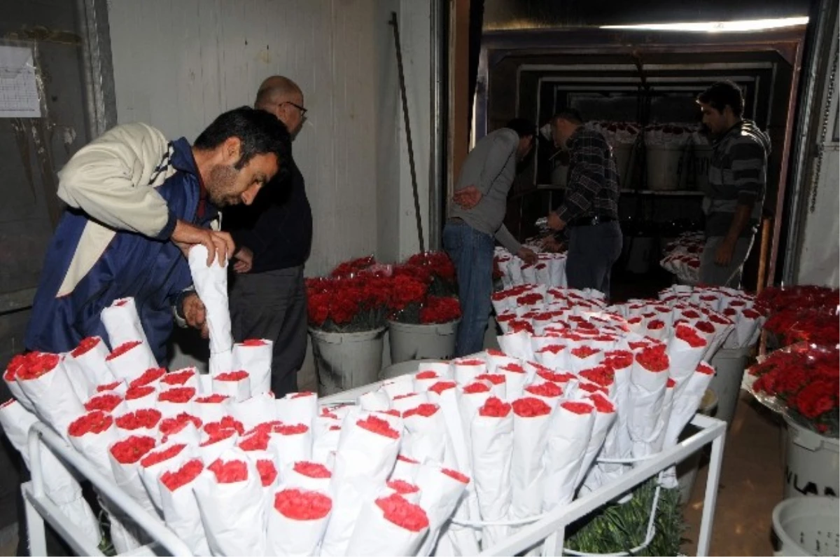 Deprem Öğretmenlerinin Çiçekleri Antalya\'dan