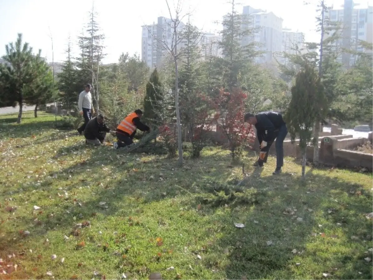 İncesu Belediyesi Mezarlıklara Bakım Yaptı