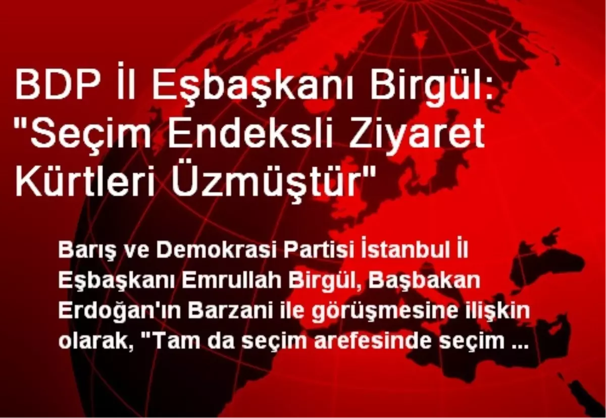 BDP İl Eşbaşkanı Birgül: "Seçim Endeksli Ziyaret Kürtleri Üzmüştür"