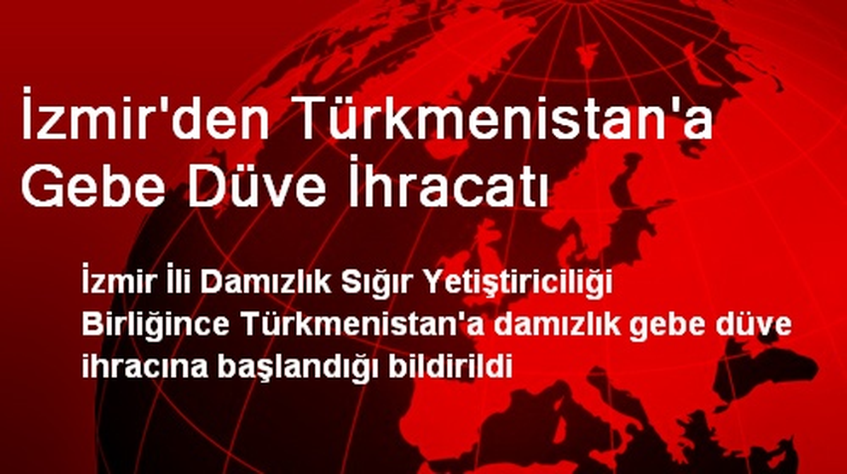 İzmir\'den Türkmenistan\'a Gebe Düve İhracatı