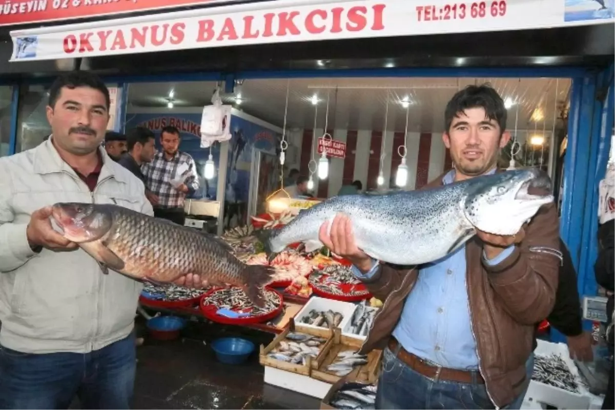 Aksaray\'da Balıkçıların Yüzü Gülüyor