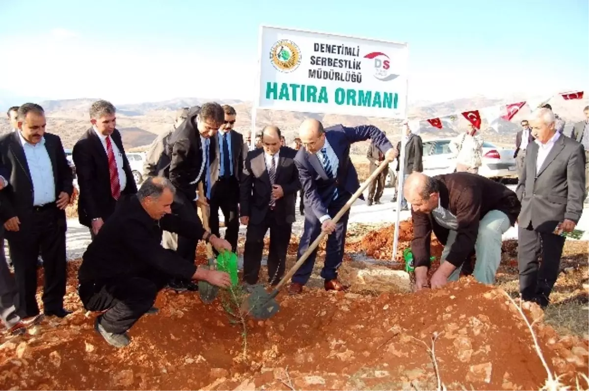 Adıyaman\'da Denetimli Serbestlik Mahkumları Fidan Dikti